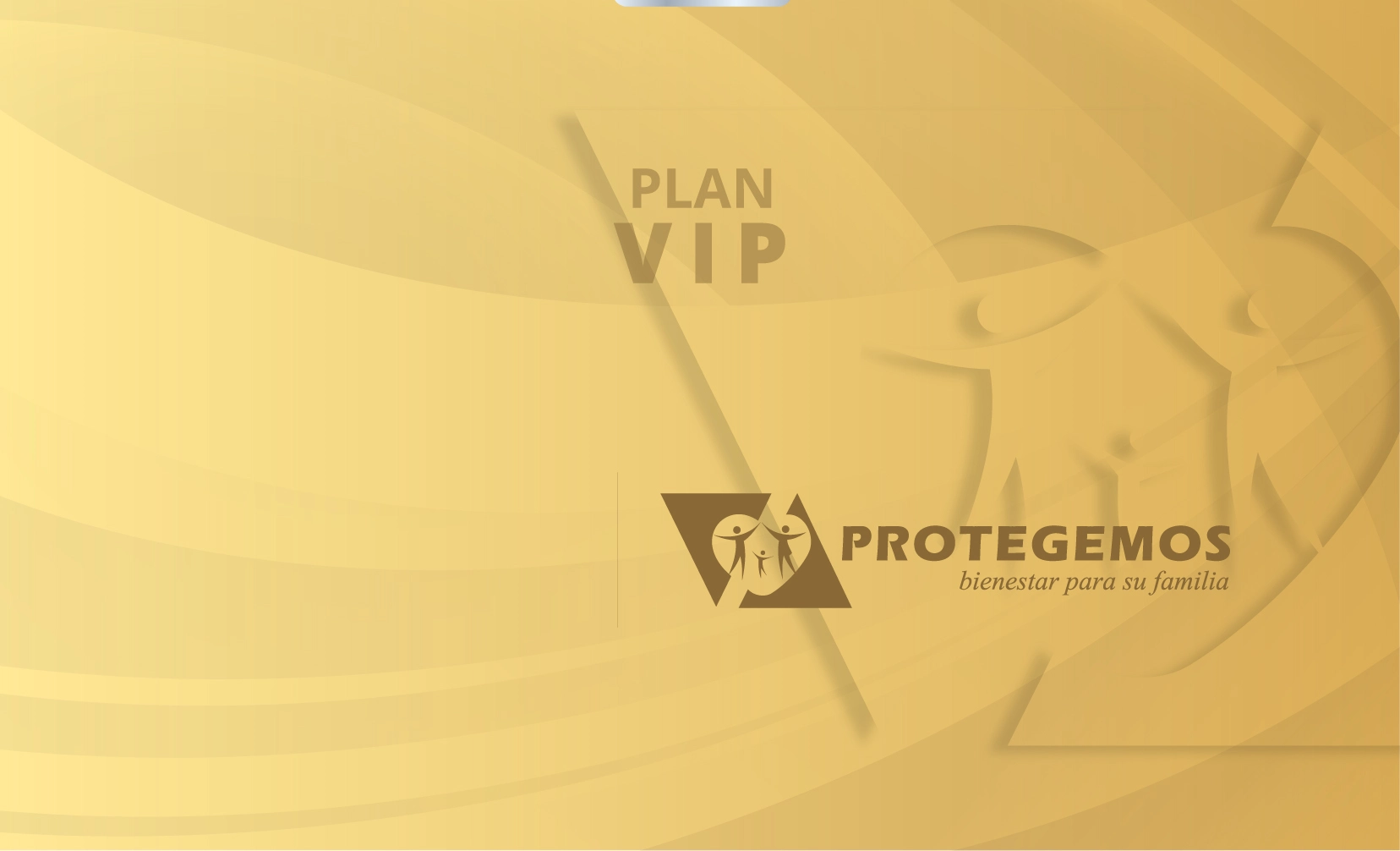 Carnet digital del PLAN VIP - Grupo Editorial Protegemos